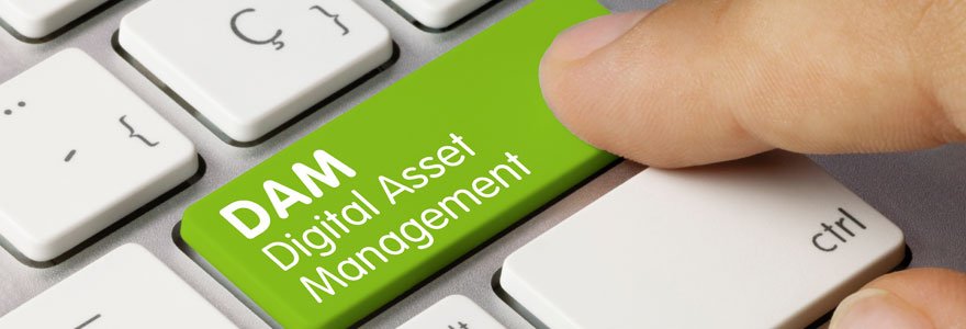 Digital Asset Management